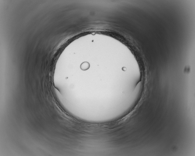 X0000114191449200911200925