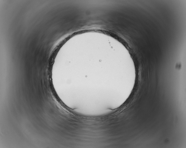 X0000114191452200911200925