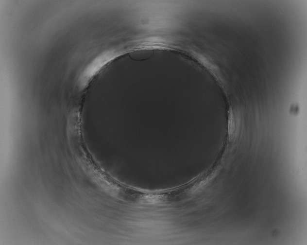 X0000114191453200911200925