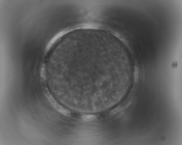 X0000114191454200911200925