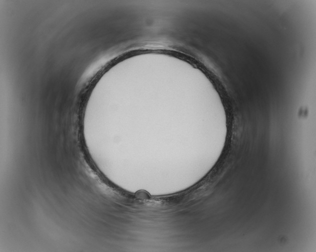 X0000114191456200911200925