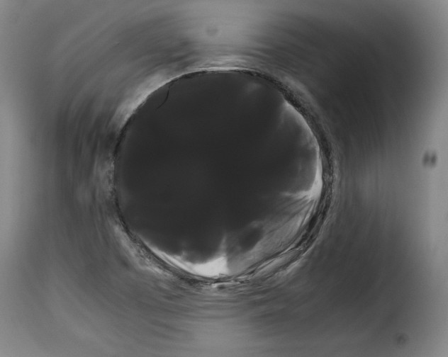 X0000114191457200911200925