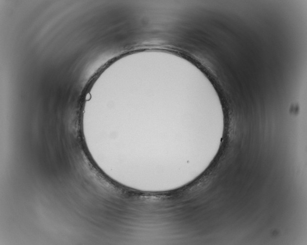 X0000114191458200911200925