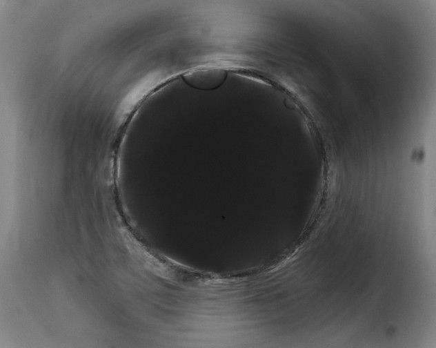 X0000114191459200911200925