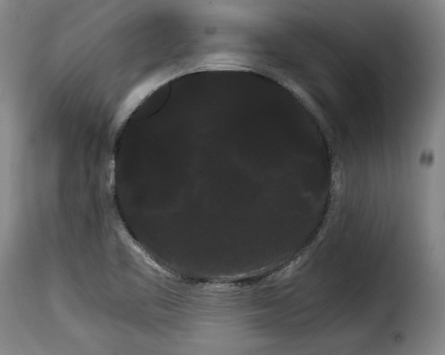 X0000114191461200911200925