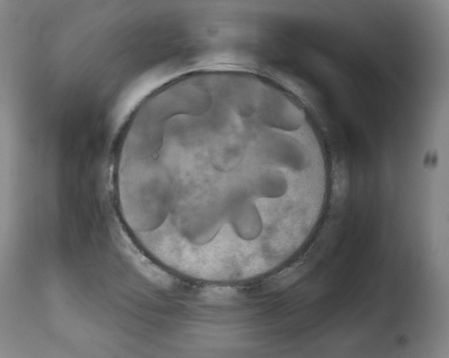 X0000114191462200911200925