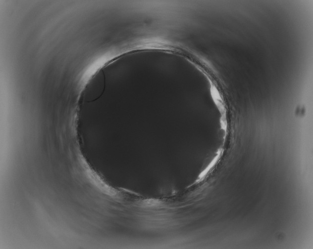 X0000114191463200911200925