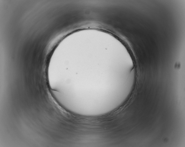 X0000114191464200911200925