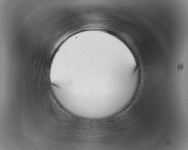 X0000114191465200911200925