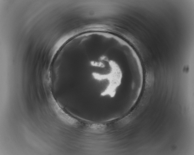 X0000114191466200911200925