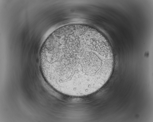 X0000114191467200911200925