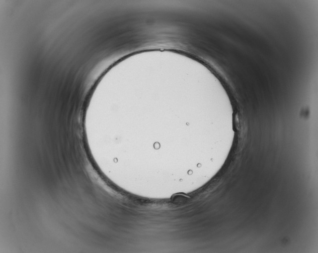 X0000114191468200911200925