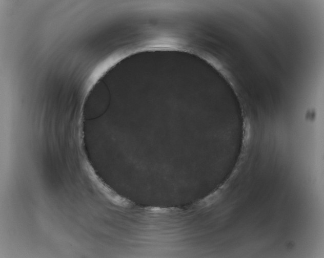 X0000114191469200911200925