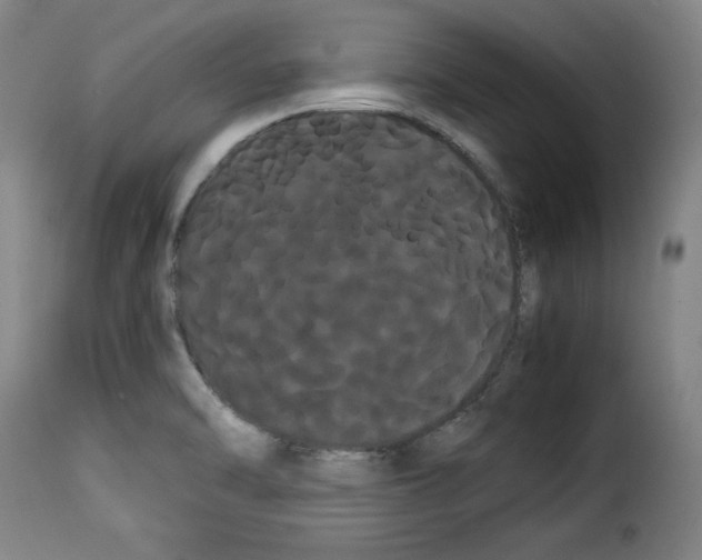 X0000114191470200911200925