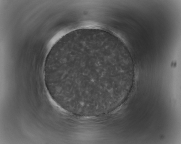 X0000114191471200911200925