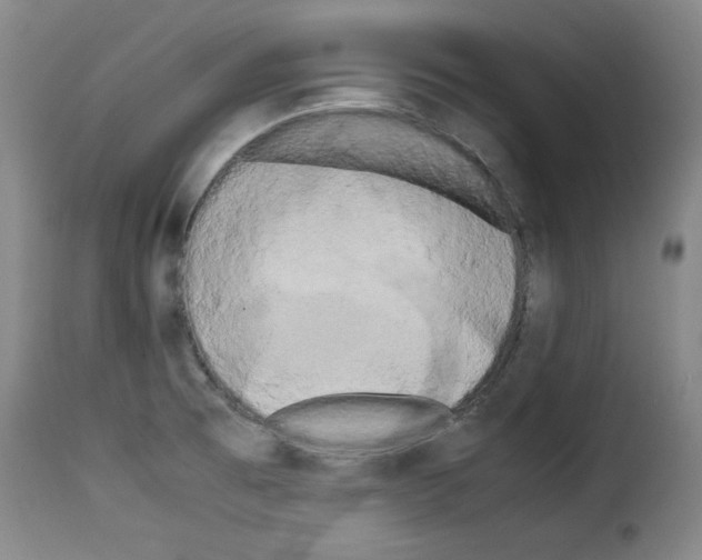 X0000114191473200911200925