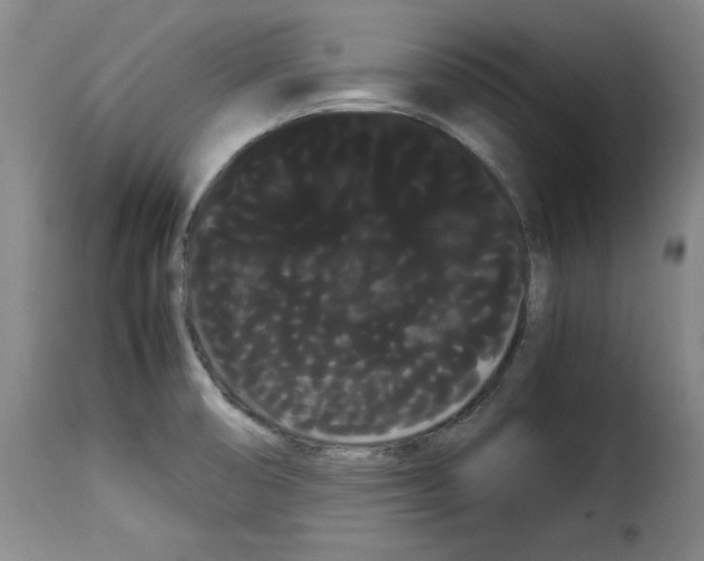 X0000114191474200911200925