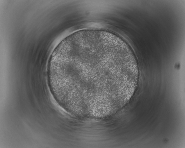 X0000114191475200911200925