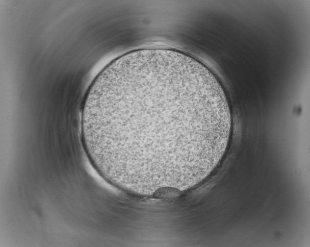 X0000114191476200911200925