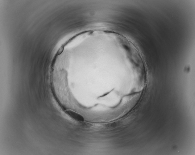 X0000114191477200911200925