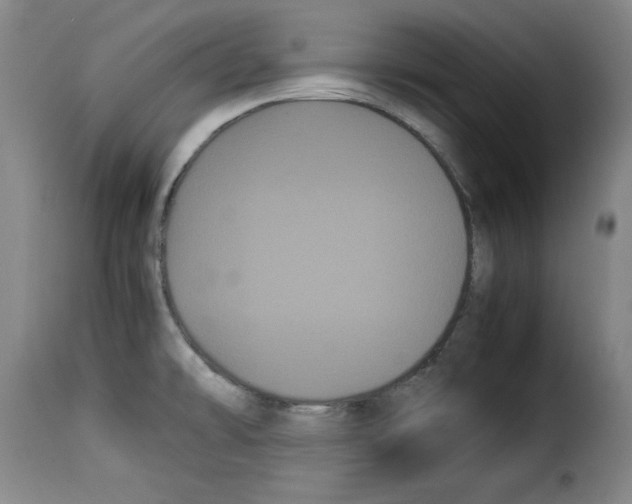 X0000114191478200911200925