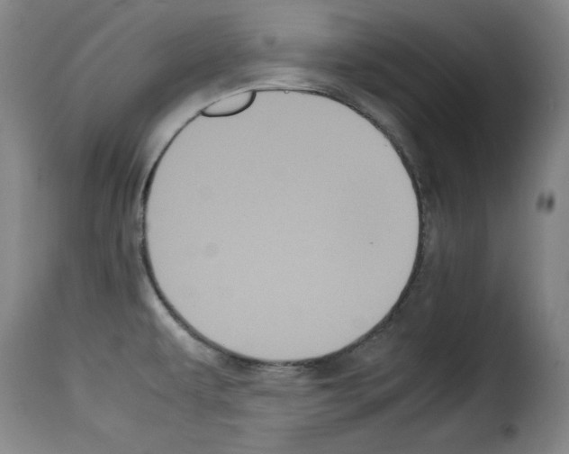 X0000114191479200911200925