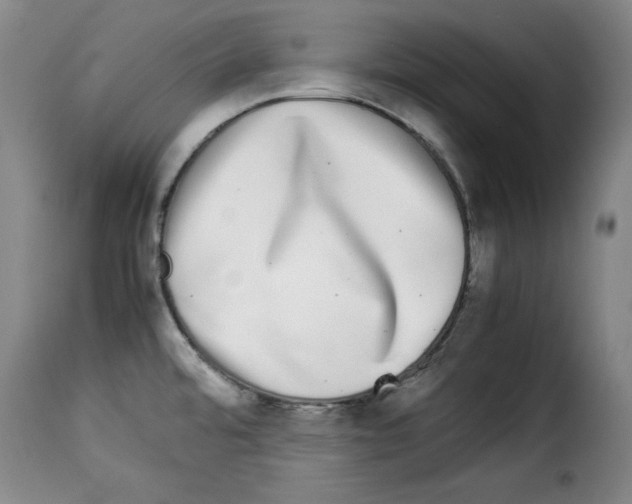 X0000114191480200911200925