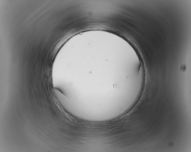 X0000114191481200911200924