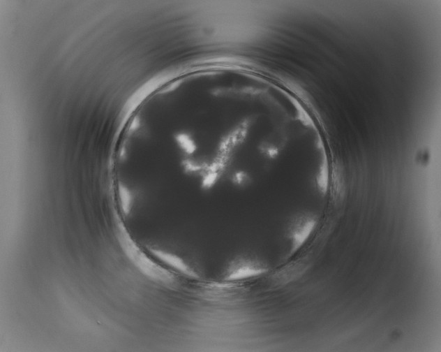 X0000114191482200911200924