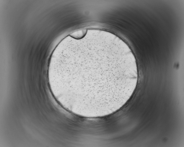 X0000114191483200911200924