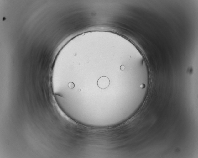 X0000114191484200911200924