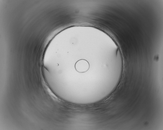 X0000114191485200911200924