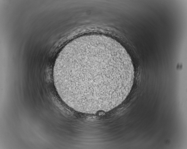 X0000114191490200911200924