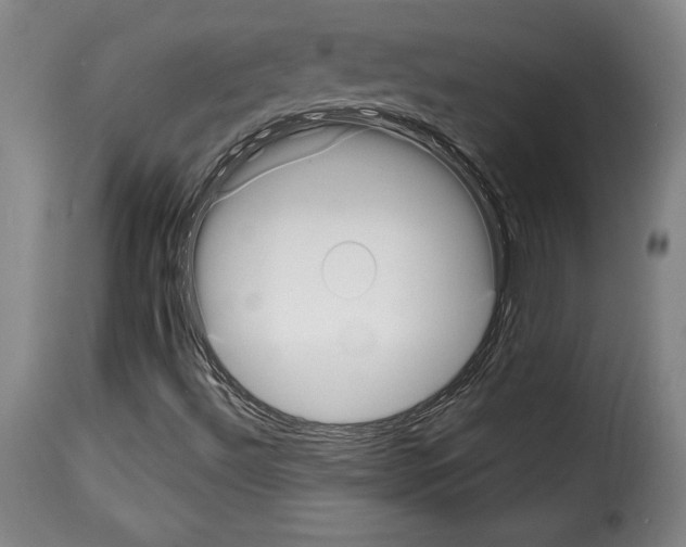 X0000114191492200911200924