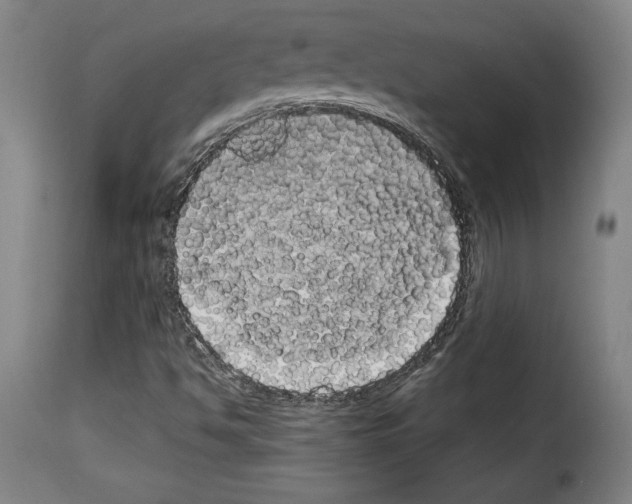 X0000114191494200911200924