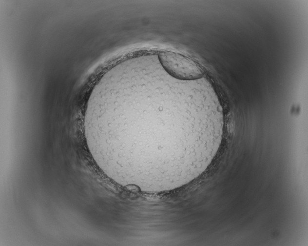 X0000114191495200911200924