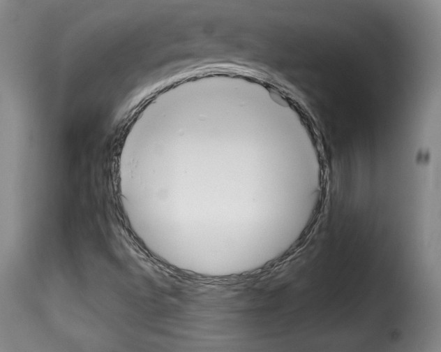 X0000114191496200911200924