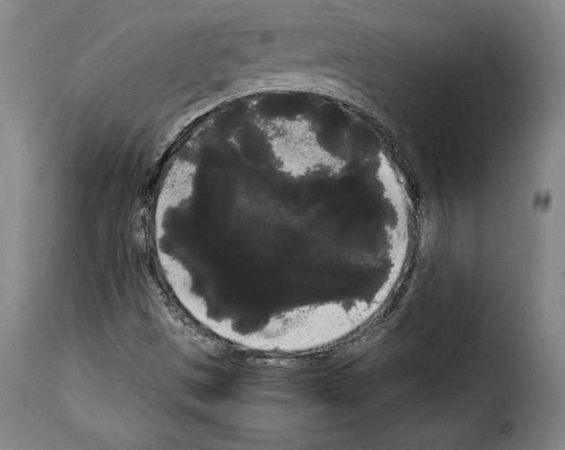 X0000114191497200911200924