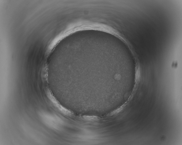 X0000114191498200911200924