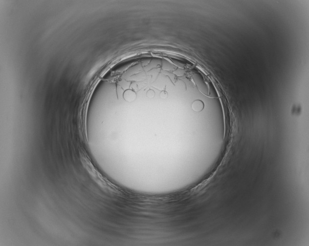 X0000114191499200911200924