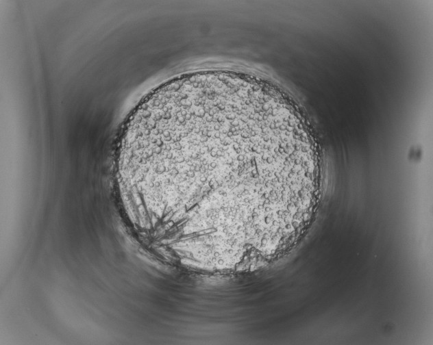 X0000114191501200911200924