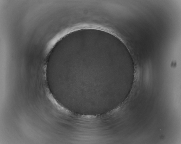 X0000114191503200911200924