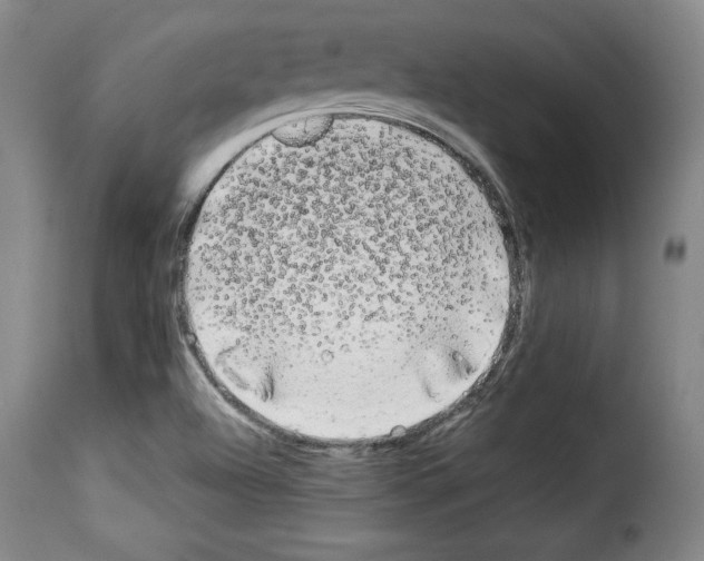 X0000114191504200911200924