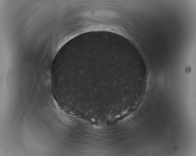 X0000114191505200911200924