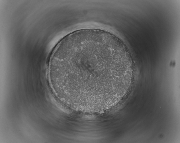 X0000114191509200911200924