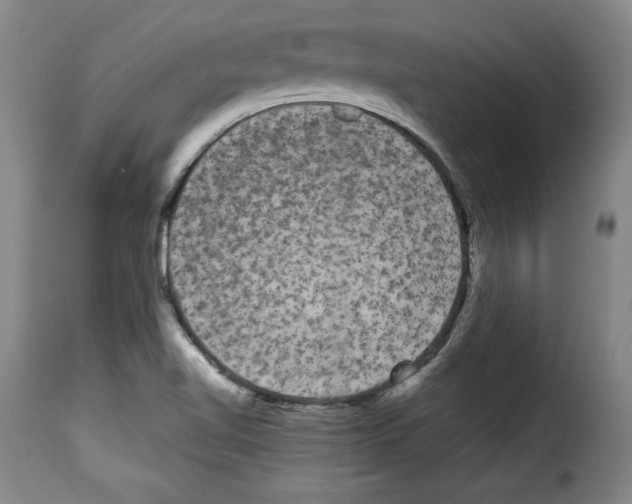 X0000114191510200911200924