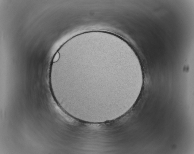 X0000114191512200911200924