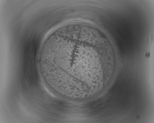 X0000114191514200911200924