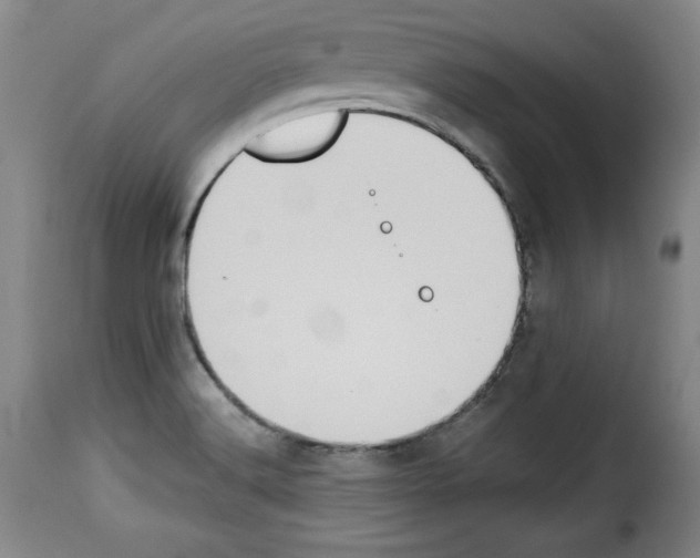 X0000114191516200911200924