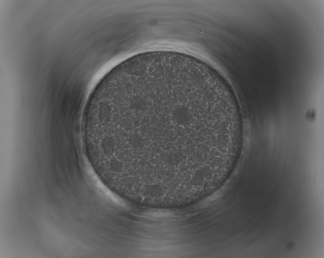 X0000114191517200911200924